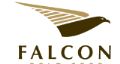 Falcon Gold Corp Stock Market Press Releases and Company Profile