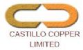 Castillo Copper Ltd Stock Market Press Releases and Company Profile