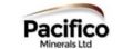 Pacifico Minerals Ltd Stock Market Press Releases and Company Profile