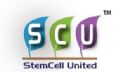 Stemcell United Ltd Stock Market Press Releases and Company Profile