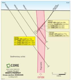 Cross-Section 8599035N, Grants Prospect, Finniss Lithium Project, NT.
