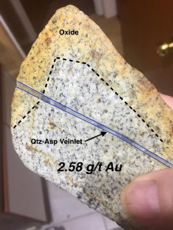 Quartz Arsenopyrite Veinlet hosted but Granitoid Intrusive