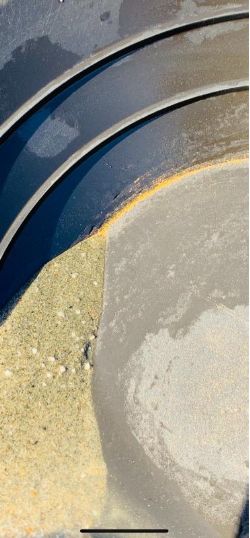 Visible gold in panning dish