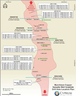 Nanadie Well Sulphide Drill Hole Location Plan