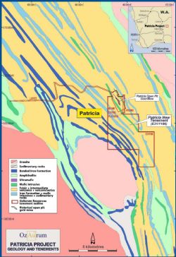 Figure 1: Patricia Gold Project Interpreted Geological Plan