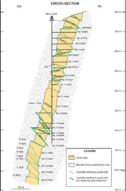 Figure 1: Cross-section of the Morning Star gold mine showing west and east-dipping mineralised faults