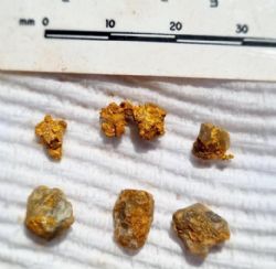 Figure 2: Coarse gold nuggets and gold in quartz sieved from interval 49-50m down hole