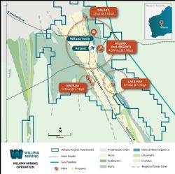 Figure 3: Map of the Wiluna Mining Operation Total Mineral Resources