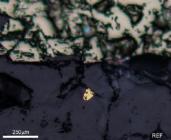 Photomicrograph 1: PTODH 001 165.6 free gold in diamond core
