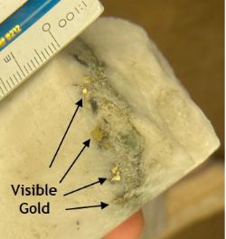 Figure 1: Visible gold within an interval that assayed 0.4 metres at 621gt gold
