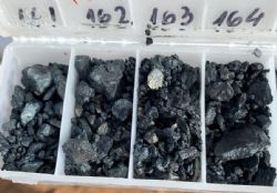 Figure 1: Sulphide mineralisation at Euston