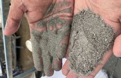 Feed ore milled to <4 mm on left hand, and gravity concentrate on right hand