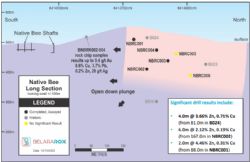 Figure 4. At Native Bee, mineralisation intersected in NBRC001 and NBRC002 from Phase 1 drilling program