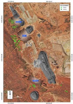 Figure 3: Plan view of proposed resource and exploration drilling at the Youanmi Gold Project