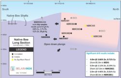 Figure 4. At Native Bee, visible mineralisation intersected in NBDD007 and NBDD008