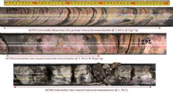 Figure 3. Selected core photos illustrating both contact and vein hosted mineralisation