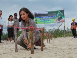 Figure 1: The PYX Cares team planting 10,000 Bengkirai trees