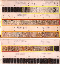 Figure 4: Chip tray Photo of pegmatite bearing portion of JREX002