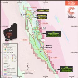 Figure 3. Yerilgee Project Geology