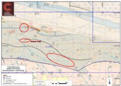 Figure 5. 100k Geology and soil sampling associated with Flamingo Target area