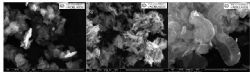 SEM images of Archer Campoona graphite flakes