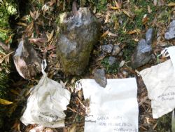 Figure 1: Selective samples 1, 2 and 3 from mullock dumps at Godkin South historic workings.