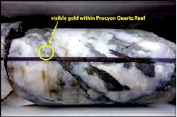 Figure 2 – Photo of NQ core from GHD009B at 473.5m showing visible gold within massive quartz vein