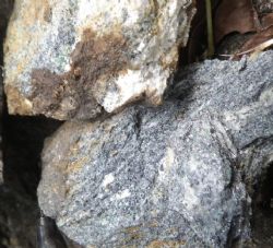 Figure 2. Close up images of the graphite-bearing quartzose schist found on exploration license