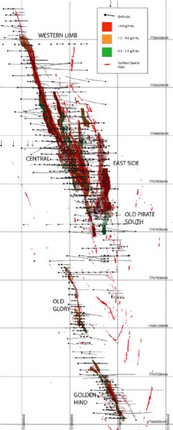 Figure 1. Old Pirate High-Grade Gold Deposit mineral resource estimation plan view.