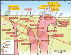 Figure 4: Section 1160N showing significant at-surface mineralisation of the Heffernans syenite