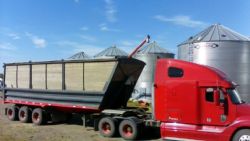 Truckload of phosphate rock delivered to a farm in Alberta