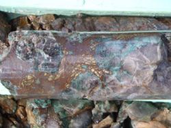 Figure 1 Section of core from GTD002 showing copper mineralisation