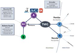 Figure 3: TMG Conceptual Integrated Development Business Model