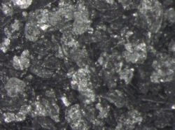Figure 3. Microscopic images of the large and jumbo flakes in the graphite concentrate