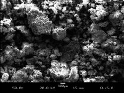 Plate 1. Sugarloaf carbon showing matted porous texture