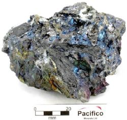 Sheared carbonaceous sediments with quartz, marmatite, galena and pyrite