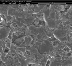 Plate 1. SEM image of 99.5% Cg Campoona micronized graphite
