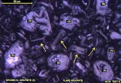Figure 1. Polished section of a graphite concentrate using high magnification oil immersion optical microscopy