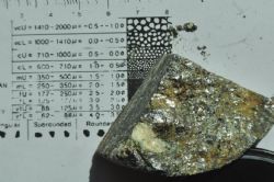 Figure 2. Observed graphite flakes obtained from drill core from the P66 zone
