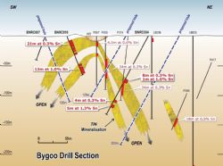 Figure 1: Section. Phase 2 drilling will target the southern limb of the model around BNRC010.