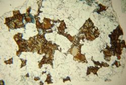 Figure 1: Mineral thin section showing coarse cassiterite