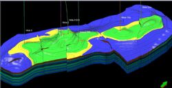 3D geological model of the Nilde and Nilde-Bis oil fields