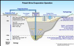 Figure 2: The Lake Wells Potash Project is targeting a 75,000 – 100,000 tpa SOP operation, abstracting potash rich brines from an extensive, deep palaeochannel into evaporation ponds