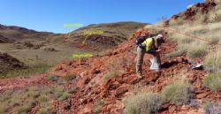 Figure 3 – Mapping & sampling at Wodgina South, with pegmatitic stratigraphy outlined in both the background & foreground.
