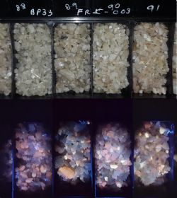 Figure 2. Spodumene crystals (pink) in BP33 Pegmatite RC chips (BP33RC003 88m-91m) under normal (bottom) and UV (top) light.
