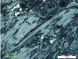 Figure 4: Petrographic slices from EM 12-05 – Flake size of 4,209 micron