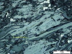 Figure 4: Petrographic slices from EM 12-05 – Flake size of 3,315 micron