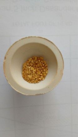 Figure 10: Gold collected from the Screen Fire Assay process is collected in a small crucible