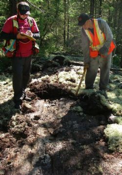 Figure 7. Excavation and mapping of the Root Lake pegmatite by removal of the moss cover.