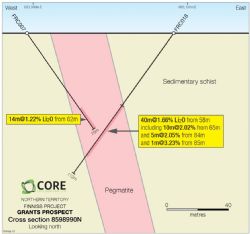 Figure 1. Recent RC Drill Results, Cross Section 8998990N (looking NE), Grants Pegmatite.